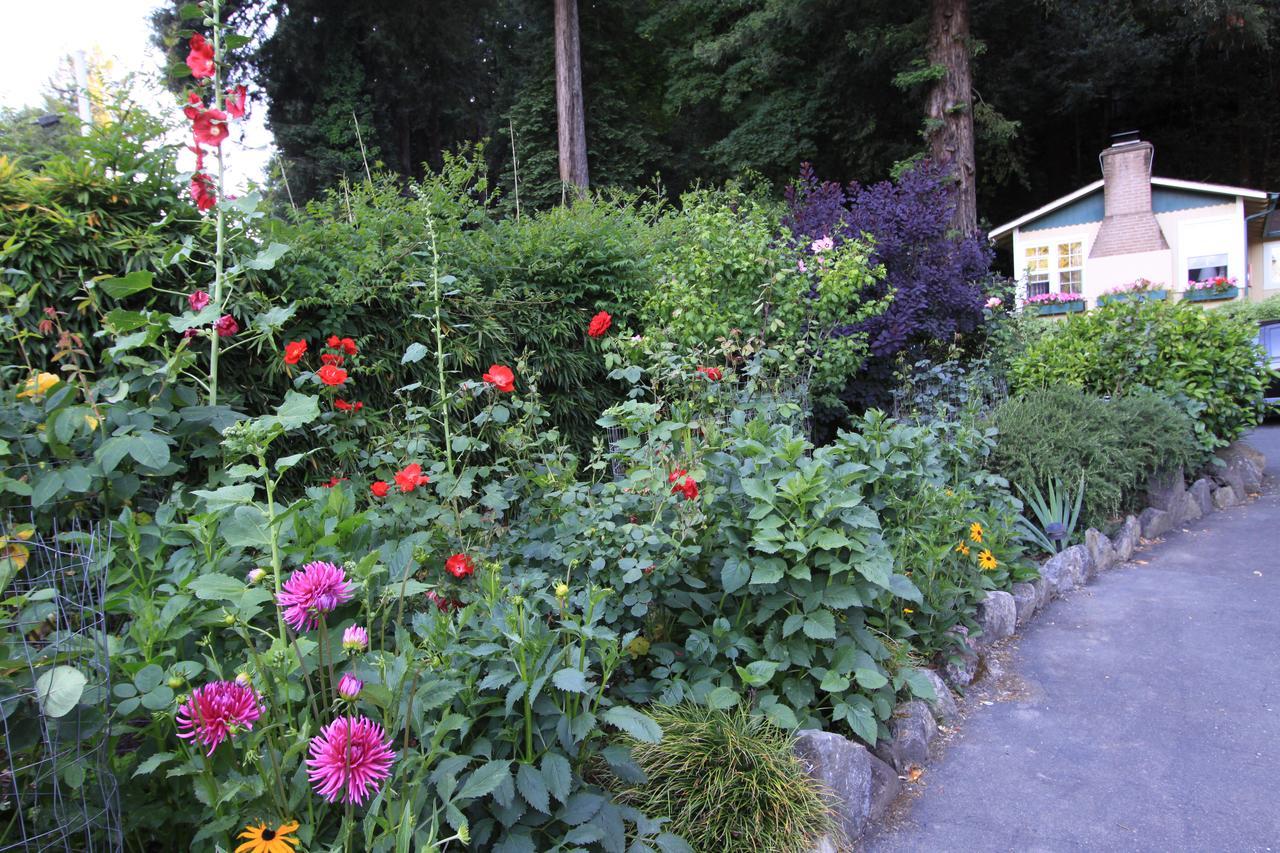 Fern Grove Cottages Гърнвил Екстериор снимка