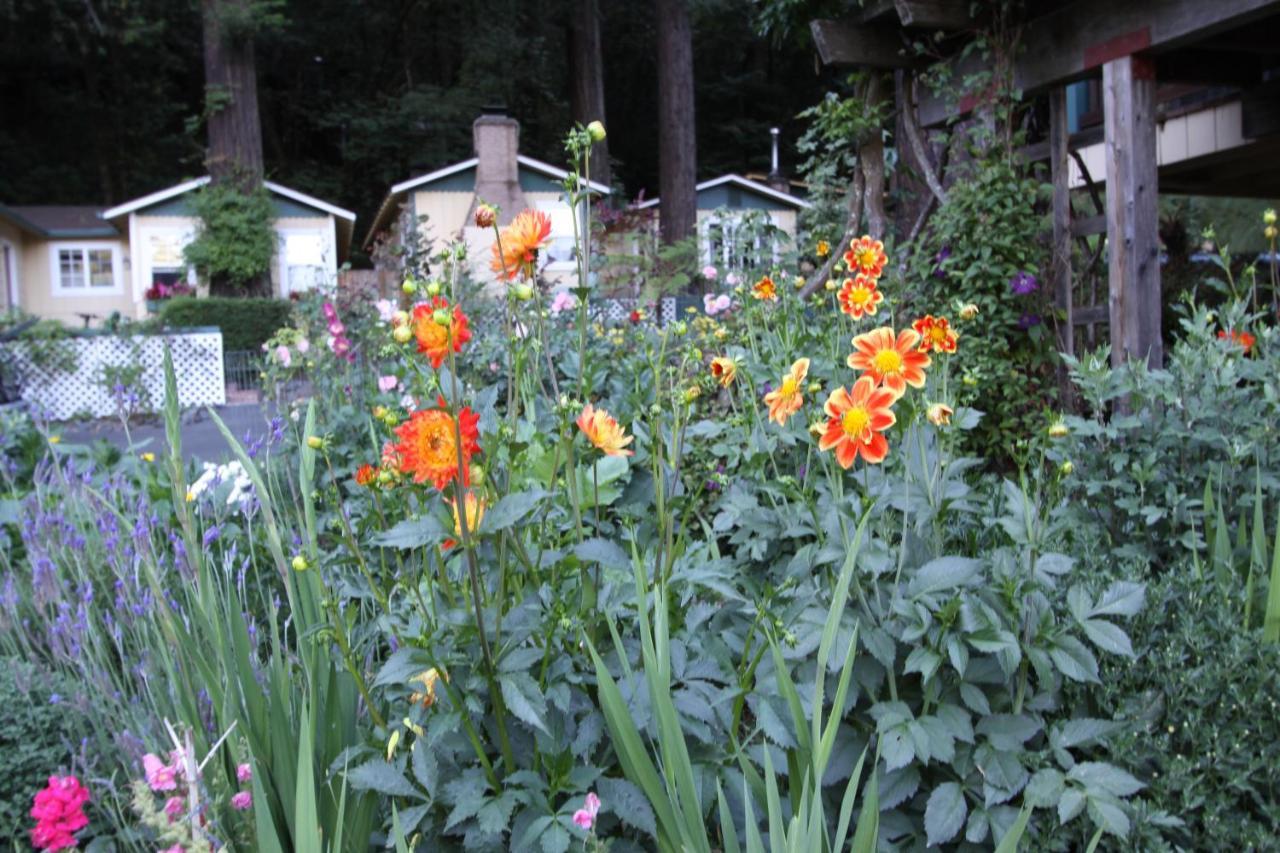 Fern Grove Cottages Гърнвил Екстериор снимка